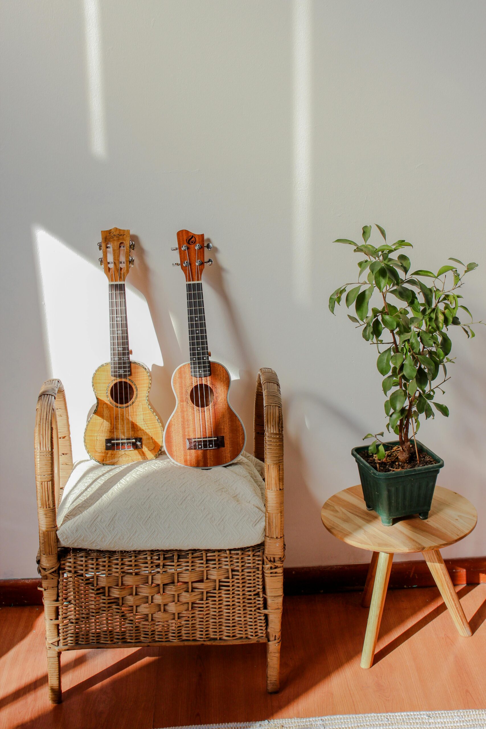 elegir tu primer instrumento musical