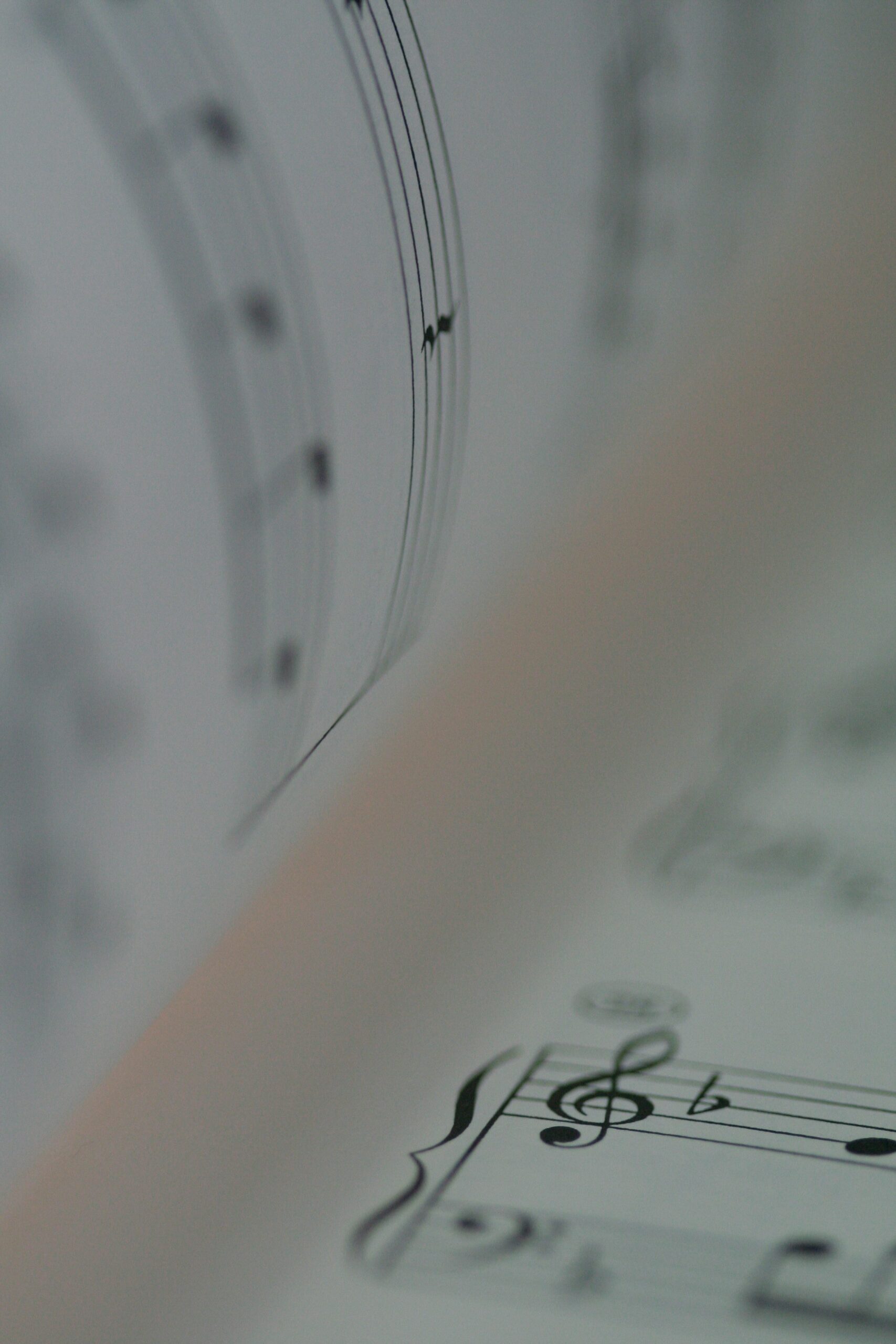 elegir tu primer instrumento musical