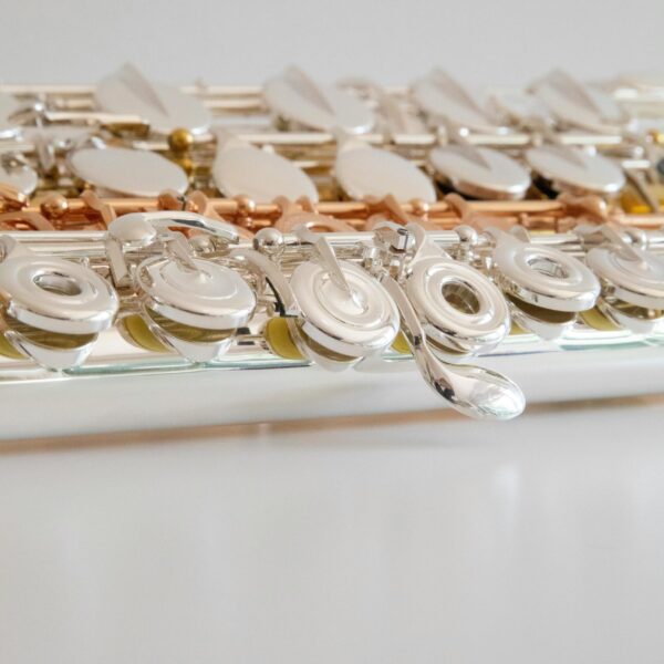 Thomann FL-200R Flute Open Holes